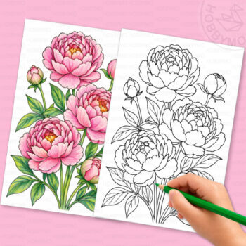 Peony coloring page