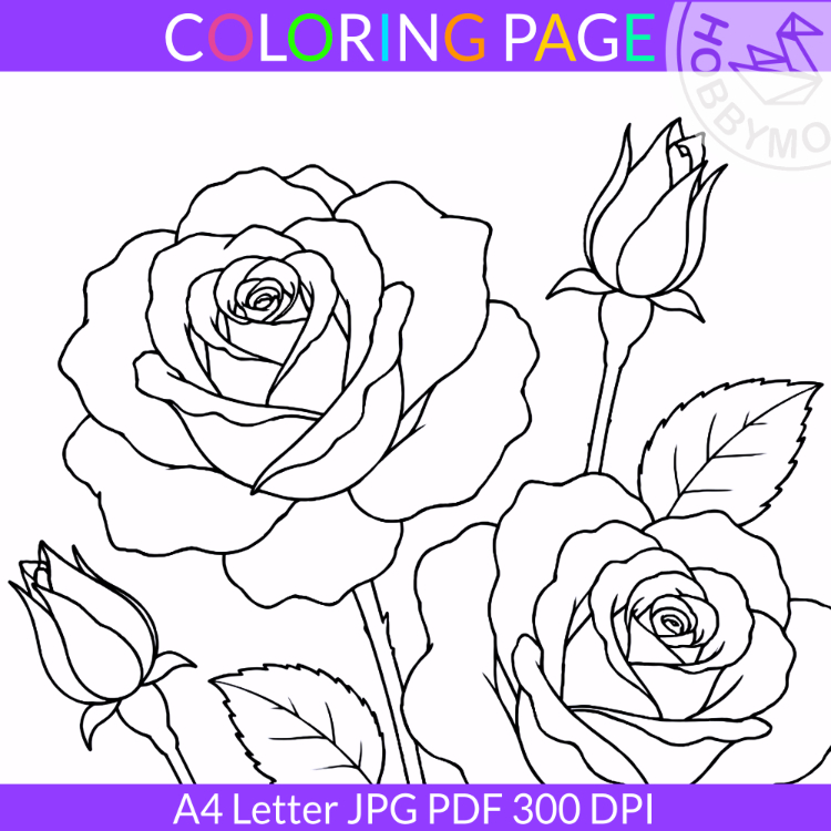 Rose coloring page