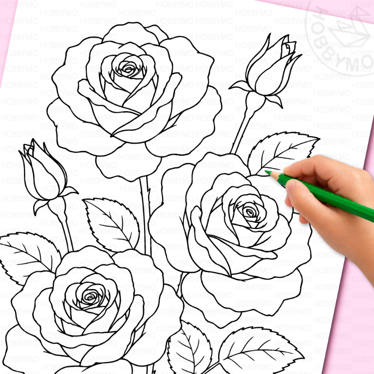 Rose coloring page