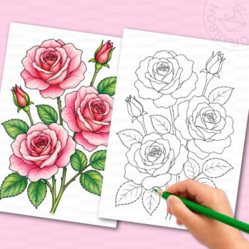 Rose coloring page