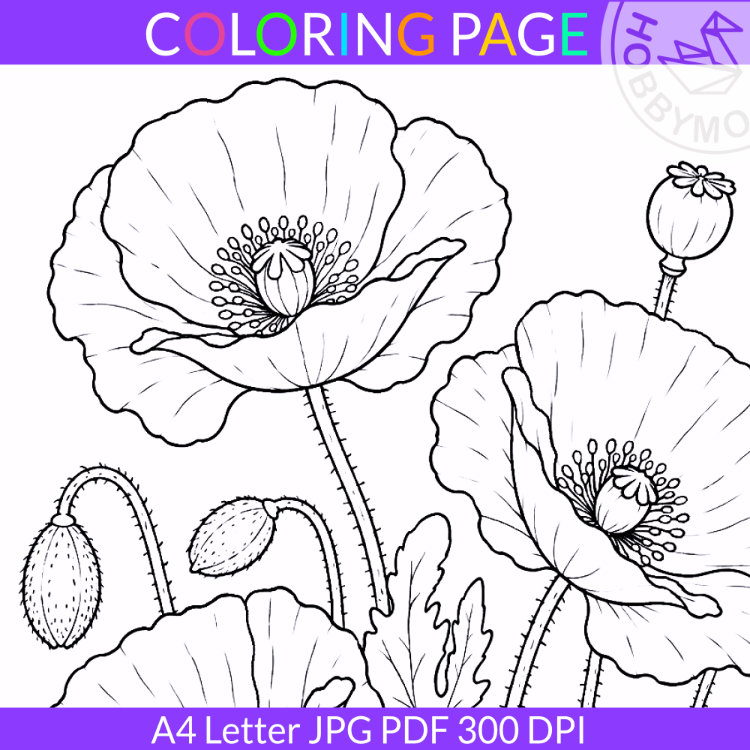 Poppy coloring page